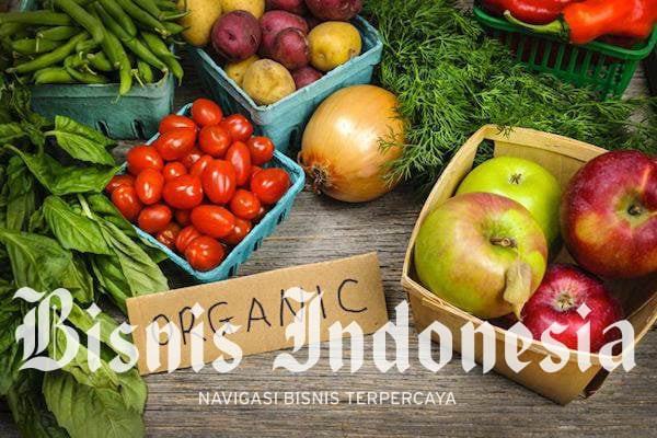 Pertanian Organik Janjikan Cuan Ekspor Lebih Tebal