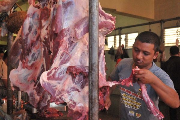  Permintaan Lebaran Diprediksi Naik 30 Persen, Harga Daging Sapi Bisa Tembus Rp130.000/kg