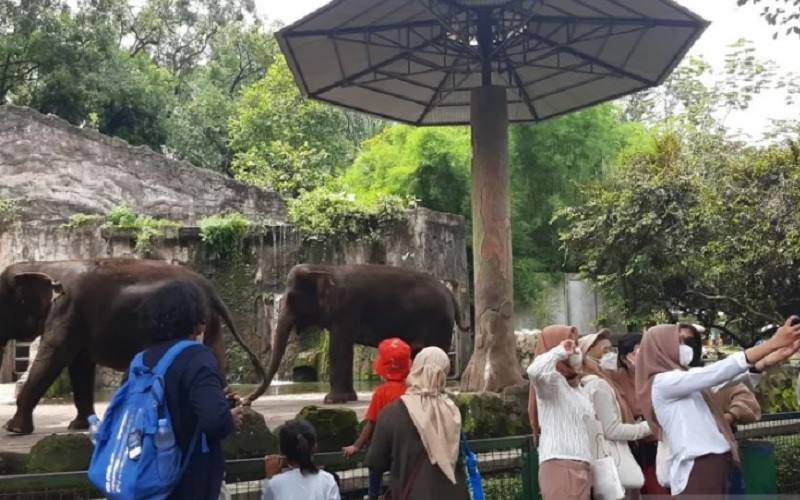  Hari Kedua Lebaran 2022, Puluhan Ribu Pengunjung Padati Ragunan