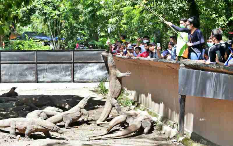 Dua Hari Lebaran 2022, Kunjungan Wisata Kebun Binatang Surabaya Tembus 13.297 Pengunjung