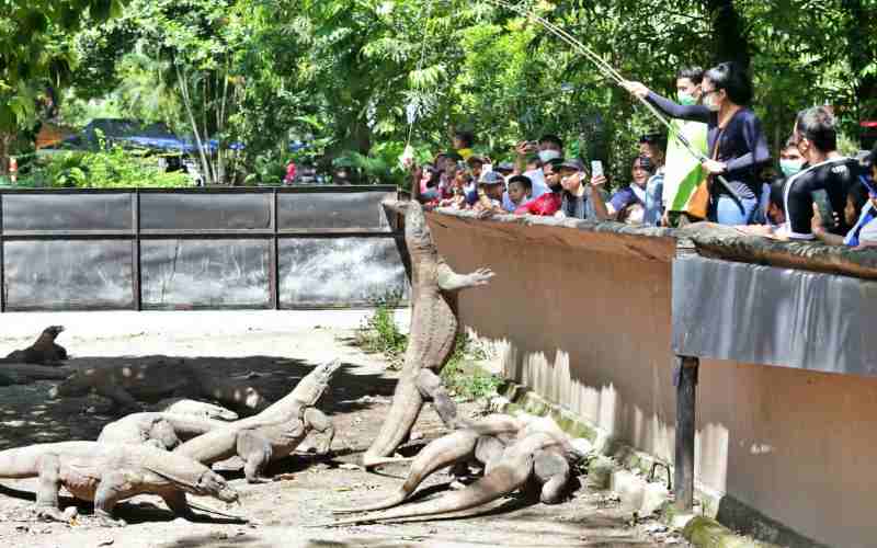  Dua Hari Lebaran 2022, Kunjungan Wisata Kebun Binatang Surabaya Tembus 13.297 Pengunjung