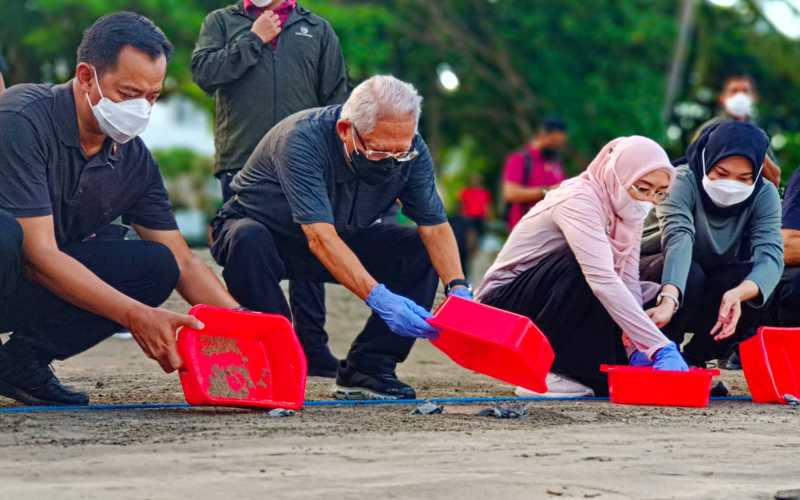 Wapres Ma'ruf Amin dan Ibu Wury Ma'ruf Amin (menggunakan sarung tangan biru) melepasliarkan 23 tukik di Pantai Kuta, Bali, Selasa (10/5/2022) / Aprianus Doni Tolok