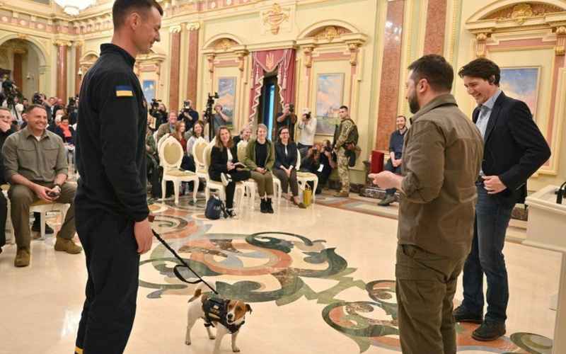  Pemerintah Ukraina Beri Anugerah Medali kepada Seekor Anjing Pelacak Ranjau