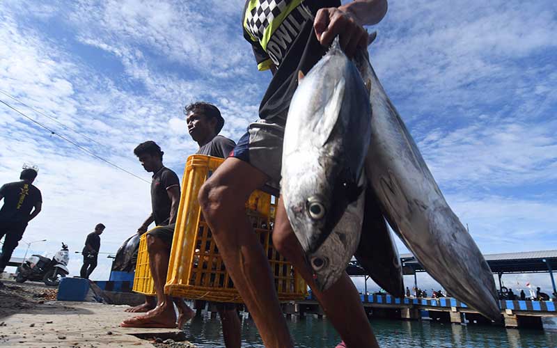  Potensi Ikan Tangkap di Indonesia Mencapai 12,01 Juta Ton Per Tahun