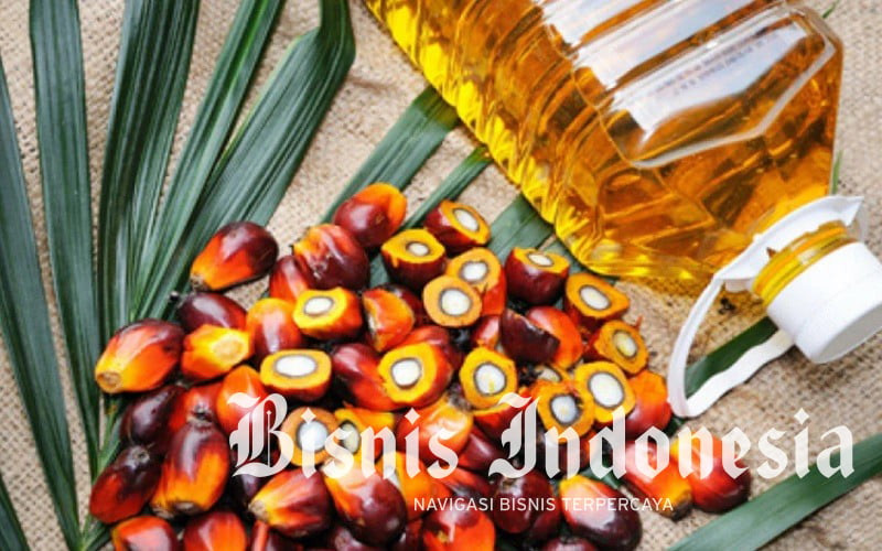 Tantangan Koperasi Sawit Hasilkan Minyak Goreng