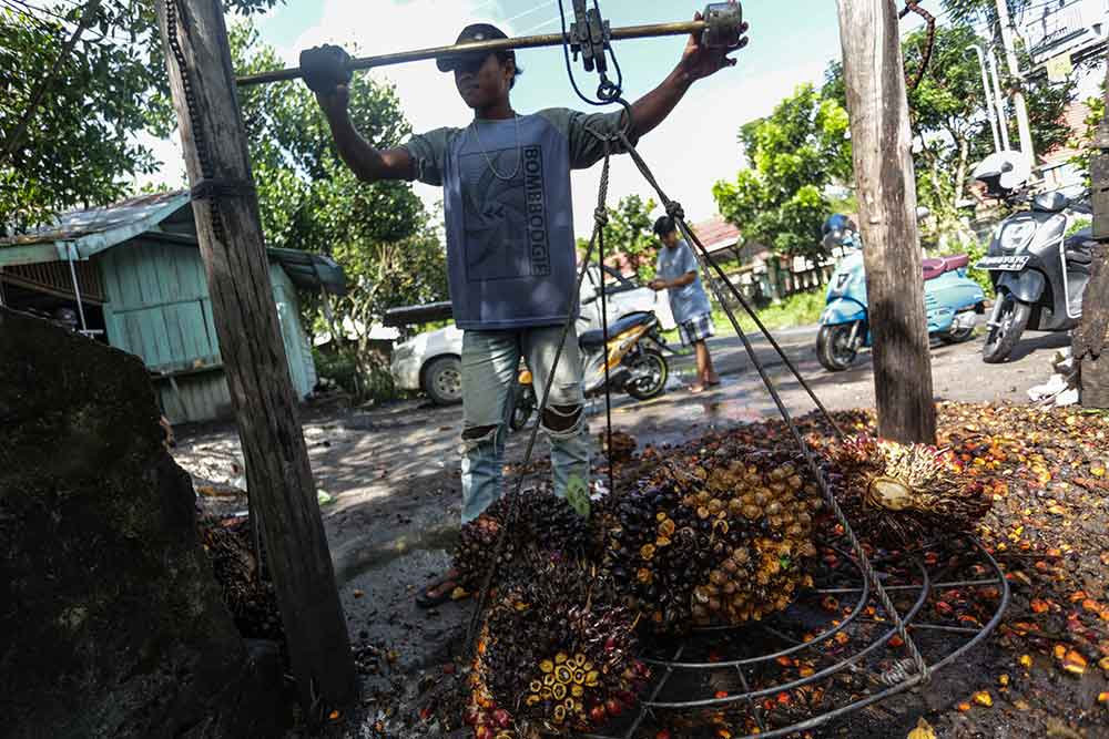 Pekerja menimbang buah kelapa sawit di salah satu tempat pengepul kelapa sawit di Jalan Mahir Mahar, Palangka Raya, Kalimantan Tengah, Selasa (26/4/2022). Antara/Makna Zaezar