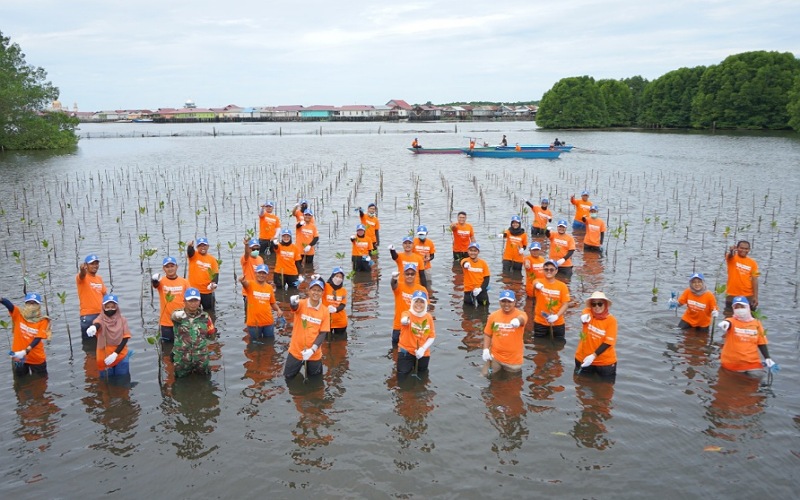  Peringati Hari Keanekaragaman Hayati Sedunia, PKT Tanam 1.500 Bibit Mangrove di Perairan Bontang