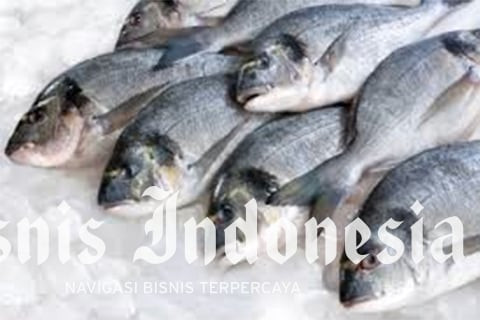  Siasat Jaga Pasokan Jangka Panjang Produk Ikan
