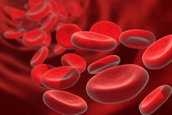  Kekurangan Sel Darah Merah: Kenali Gejala, Penyebab, dan Pengobatan Anemia