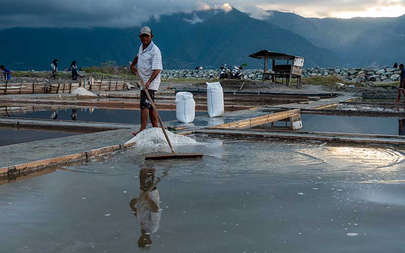  Produksi Garam Menurun Hingga 20 Persen Karena Faktor Anomali Cuaca