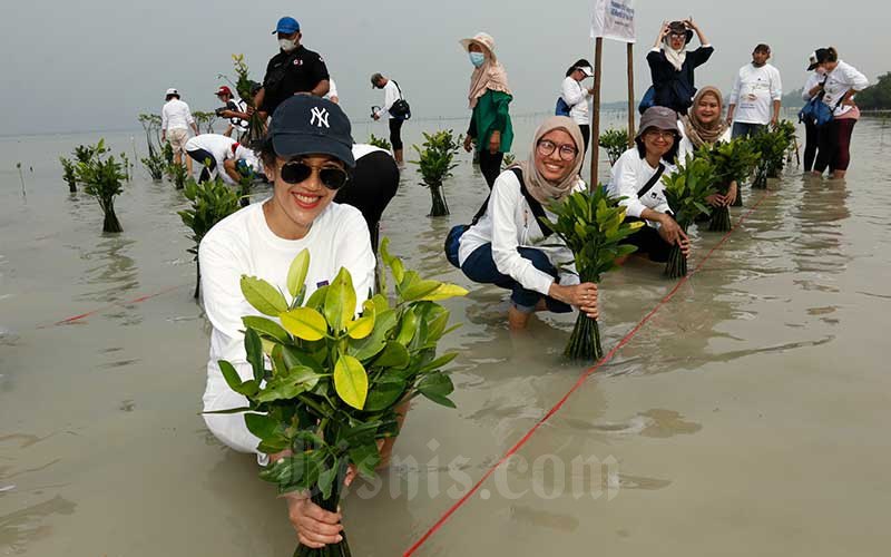  AXA Mandiri Serahkan 2.100 Bibit Bakau Kepada Petani di Pulau Pari