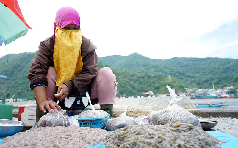  Nelayan di Gorontalo Menangkap Ikan Nike Musiman