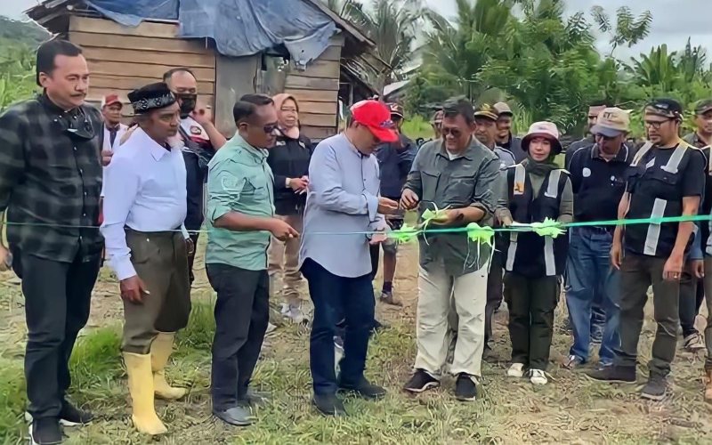  Seger Agro Nusantara Kolaborasi Budidaya Jagung di Tojo Una-Una, Sulteng