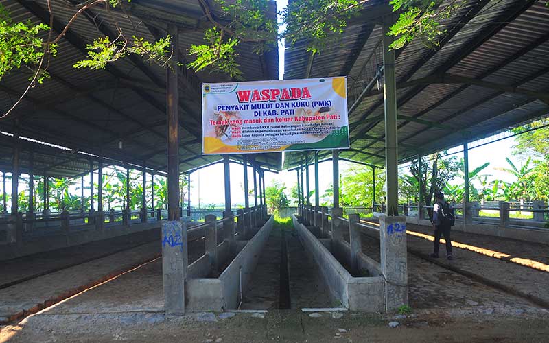  Pasar Hewan di Semarang Ditutup Sementara Untuk Mencegah Penyebaran Wabah PMK