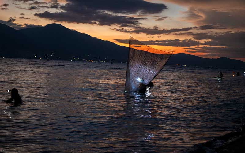  Musim Udang Tiba, Nelayan di Palu Kembali Melaut