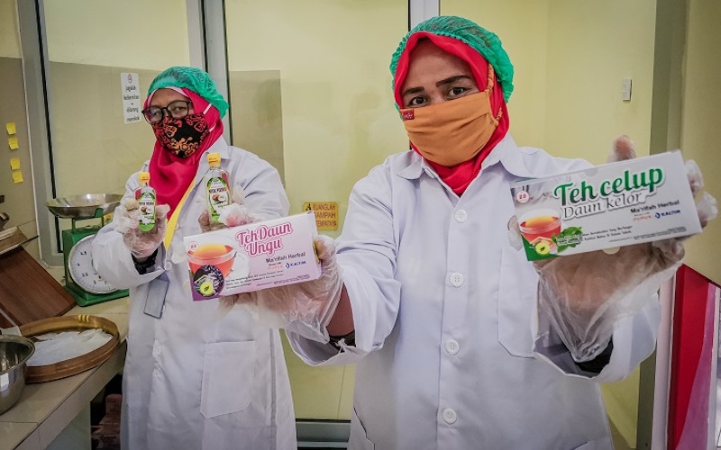  Tak Hanya Berkhasiat, Tanaman Obat Asal Kaltim ini juga Jadi Bisnis Rumahan hingga Raup Omset Ratusan Juta