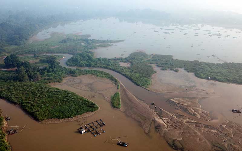  Danau Teluk Kenali di Jambi Mulai Alami Pendangkalan