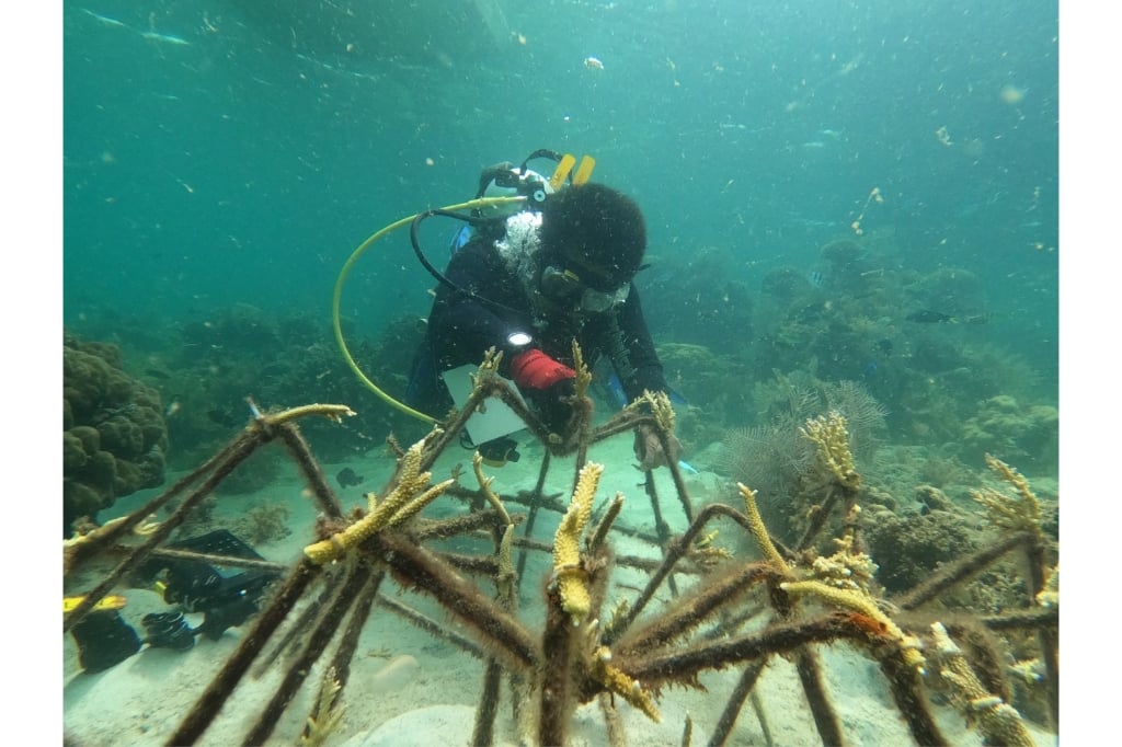  Hidupkan Kembali Surga Bawah Laut di Selat Makassar