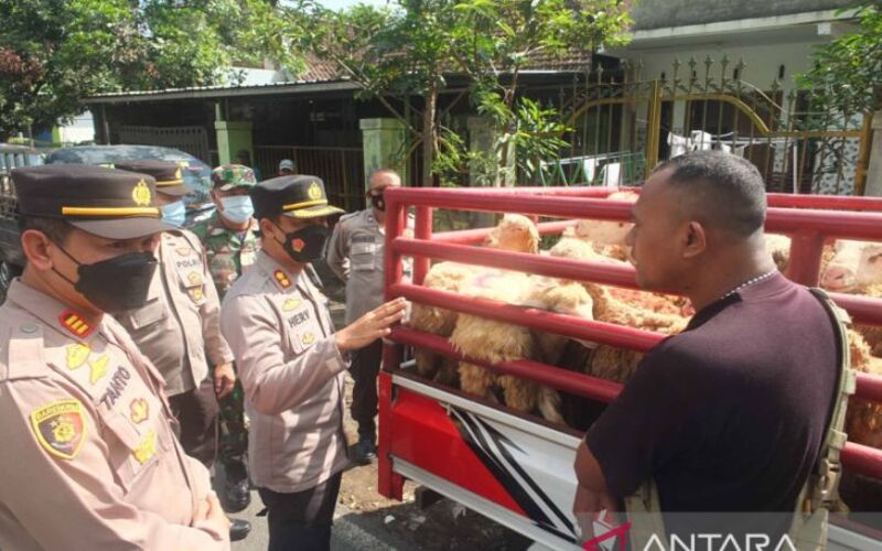  Penanganan Penyakit Mulut dan Kuku Perlu Dipercepat Menjelang Iduladha