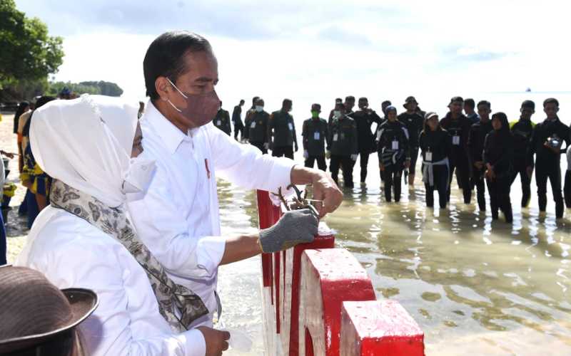 Lakukan transplantasi terumbu karang di Wakatobi, Kamis (9/6/2022) Jokowi berpesan untuk melestarikan terumbu karang / Setwapres - Kris