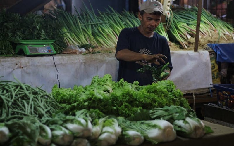 Seorang pedagang tengah menyusun sayur mayur yang dijual di Pasar Raya Padang, Sumatra Barat, Kamis (2/6/2022). Sayur selada juga menjadi salah komoditas yang mengalami kenaikan harga dari Rp8.000 per kg dan kini naik jadi Rp30.000 per kg. /Bisnis-Noli Hendra