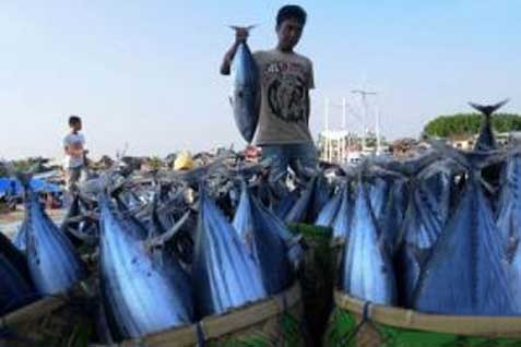  Kebanyakan Makan Ikan Berisiko Kena Melanoma?