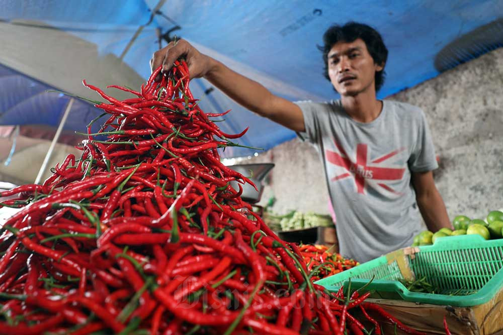  Harga Cabai Merah Tembus Rp120.000 Per Kilogram