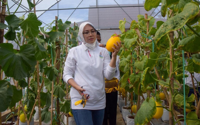  Tak Hanya Puslitbang, Kebon Ambu Purwakarta Juga Dirancang Jadi Destinasi Wisata