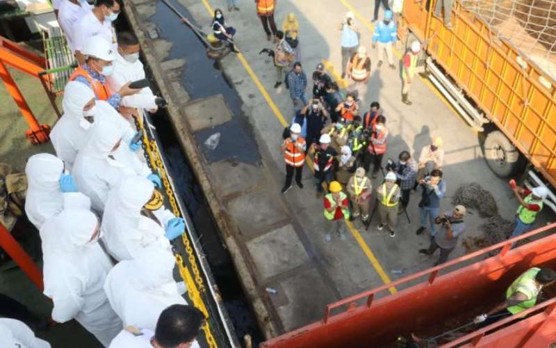  Video Viral Bongkar Muat Sapi Pakai Crane, Kementan Buka Suara 