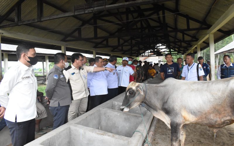 OKI Pantau PMK pada Hewan Ternak Jelang IdulAdha 2022