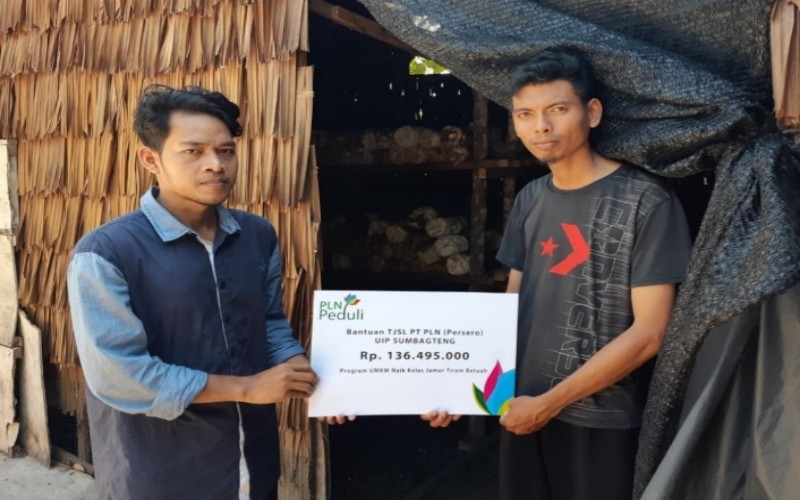  PLN Peduli Bantu Pengembangan UMKM Budi Daya Jamur Tiram di Riau
