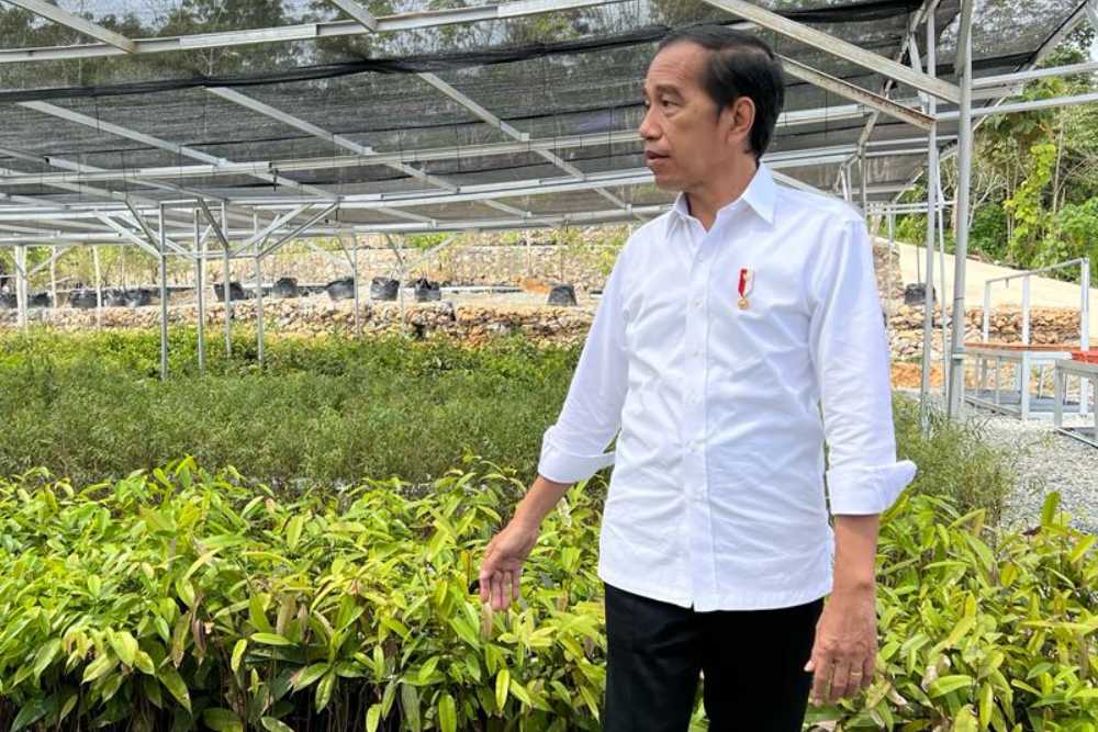  Jokowi Optimistis Pembangunan IKN Berjalan Lancar