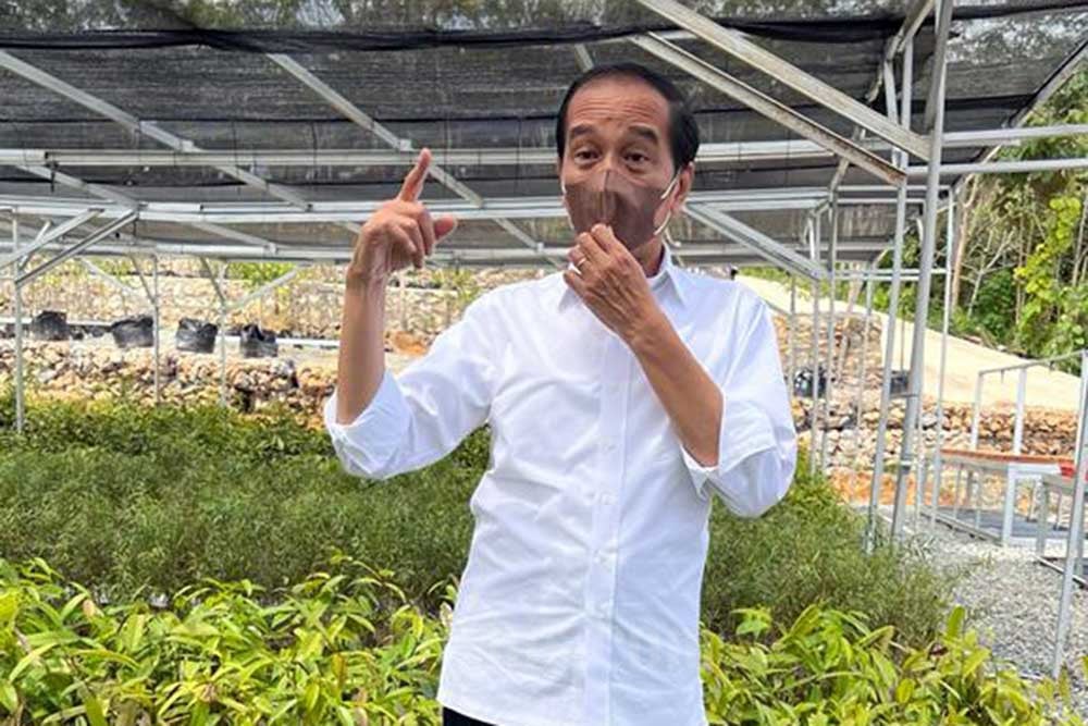  Jokowi Kunjungi Mentawir, Pusat Persemaian Bibit Tanaman untuk \'Forest City\' IKN