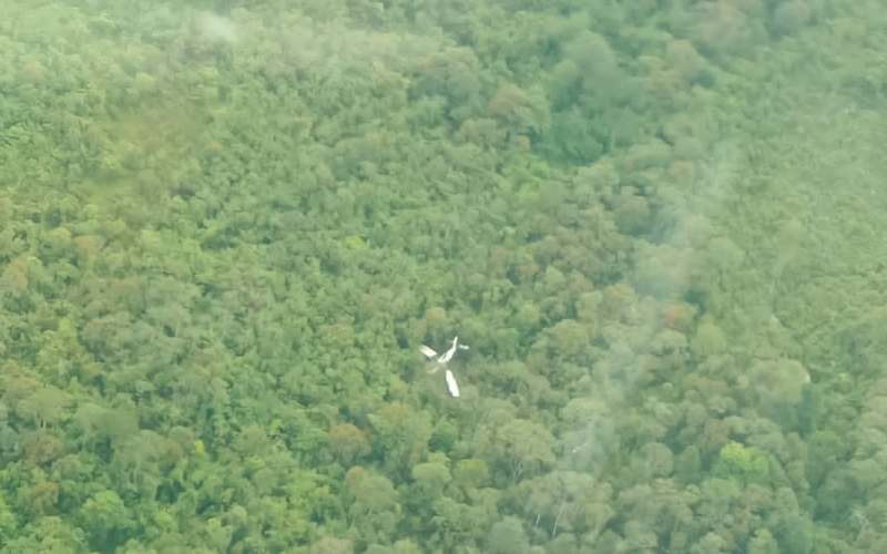Penampakan dari udara lokasi kecelakaan Pesawat Susi Air jenis Pilatus Porter (PC-6) nomor penerbangan PK-BVM rute Timika-Dama./Basarnas