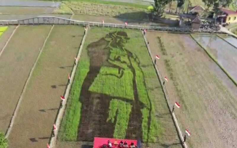  Warga Desa Bergas Tanam Padi Bergambar Soekarno