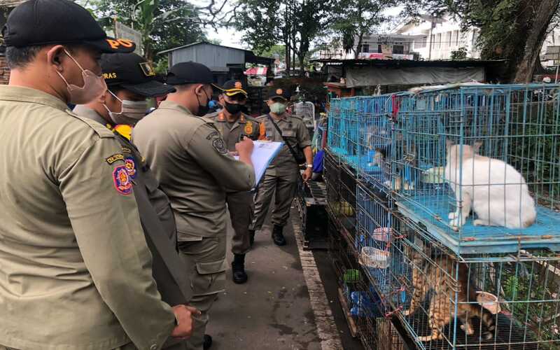  Perdagangan Satwa di Splendid Ditertibkan