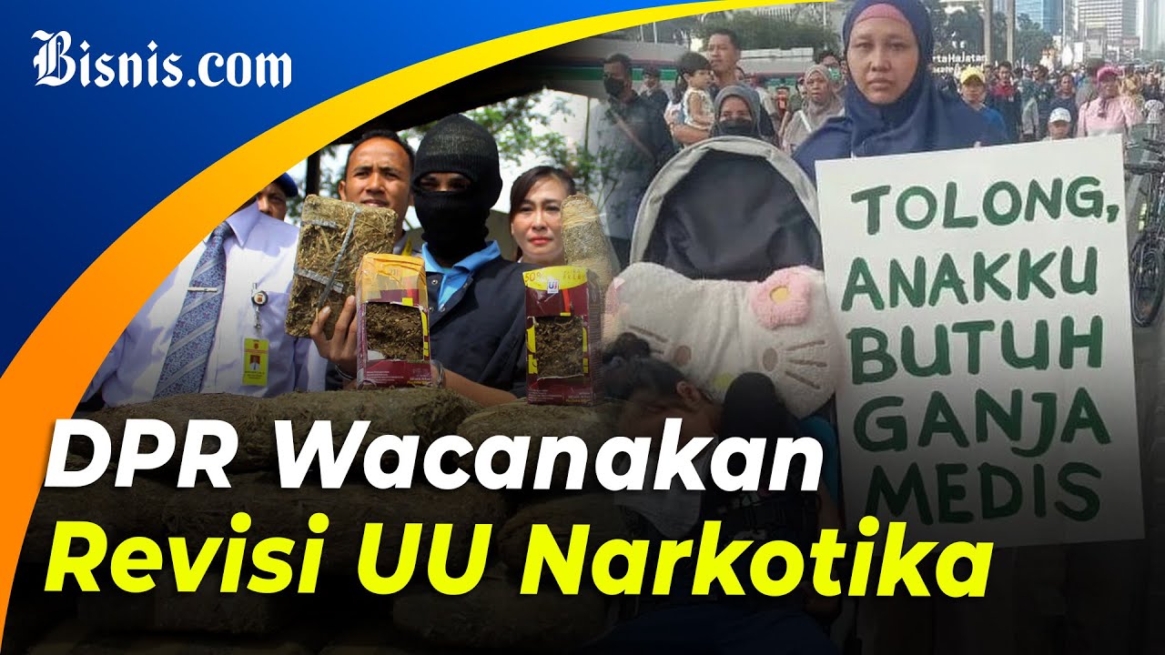  DPR Usul Ganja Medis Masuk UU Narkotika