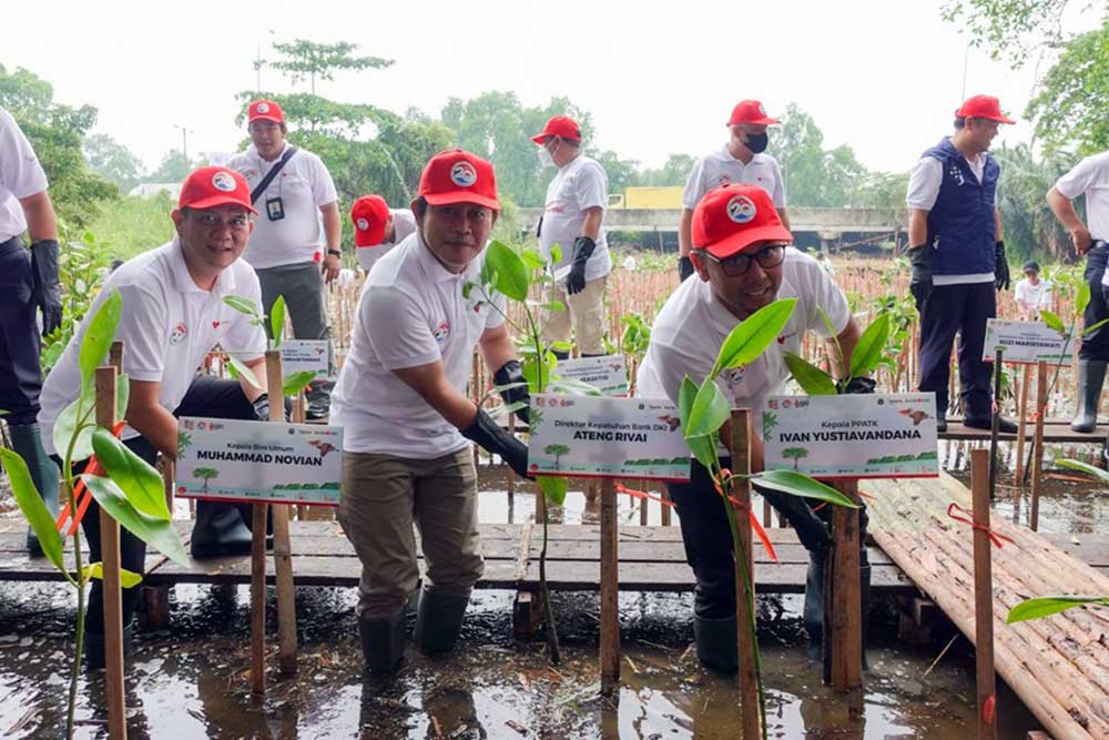  Bank DKI Lakukan Penanaman 5.000 Bibit Mangrove