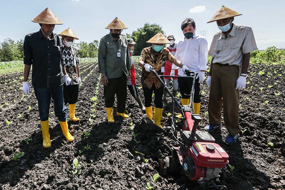  Sampoerna Jalankan Program Kemitraan Dengan Petani Tembakau