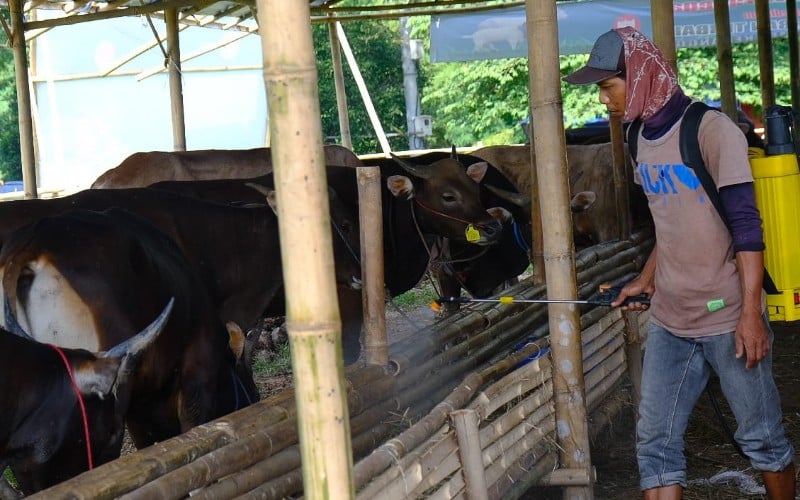  Sambut Iduladha, Wilmar Salurkan 148 Hewan Kurban Termasuk di Pelintung Riau