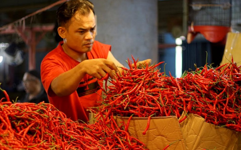  Cabai Merah dan Bawang Merah Sebabkan Inflasi di Sumbar, Ini Upaya TPID