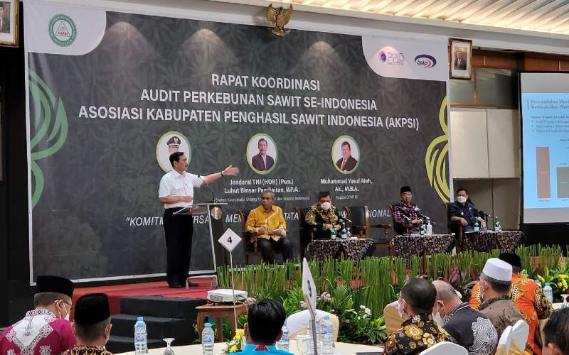  Harga TBS Sawit Anjlok, Luhut Janji Turunkan Pungutan Ekspor CPO