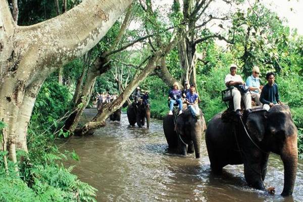  Turis Asing Mulai Kunjungi Songkhla setelah Thailand Cabut Pembatasan Covid-19