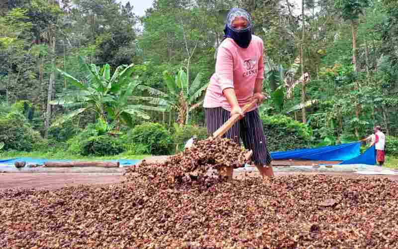  Jelajah Kopi Jatim 2022, Potensi Hasil Bumi Tanah Gumitir