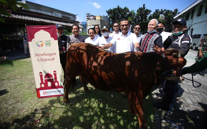  Sambut Iduladha 1443 H, Sinar Mas Land Salurkan Ratusan Hewan Kurban