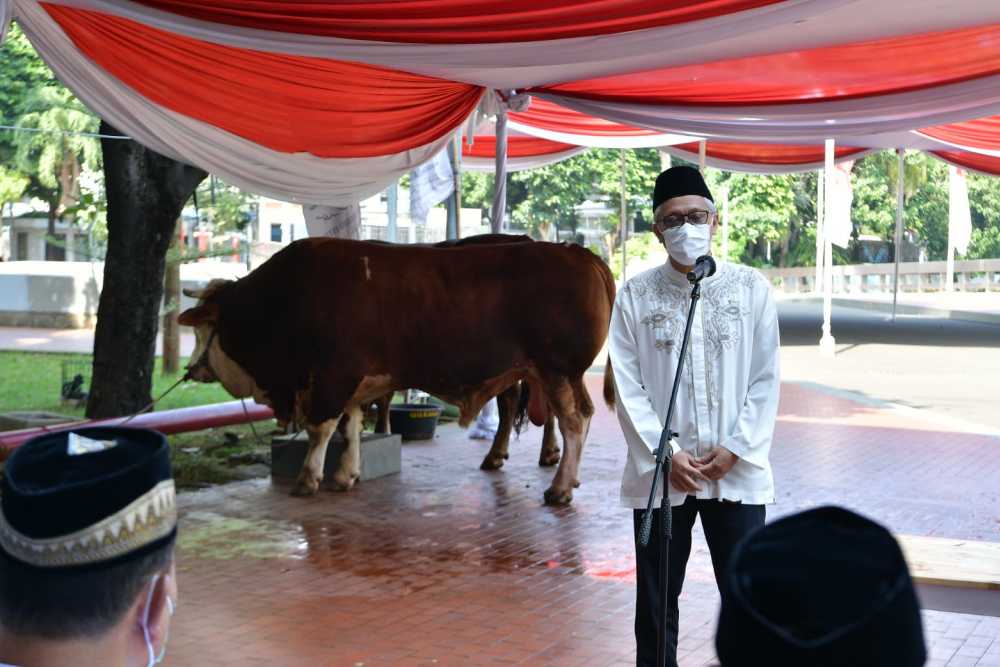  Iduladha 1443, Wapres Kurban Sapi Simmental Seberat 1 Ton di Istiqlal