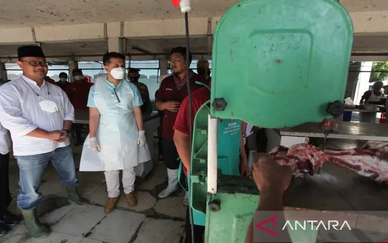  Vaksinasi PMK Jatim 80 Persen. 1.035 Ekor Sapi Dipotong Paksa