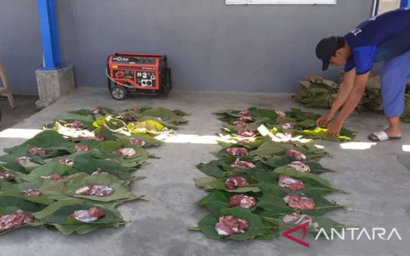  Daun Jati Bagus untuk Membungkus Daging Hewan Kurban