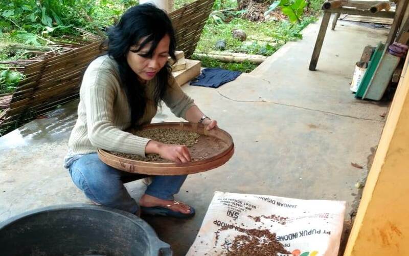  Kisah Mistono Eksis Jualan Kopi Luwak Didukung Bank Jatim