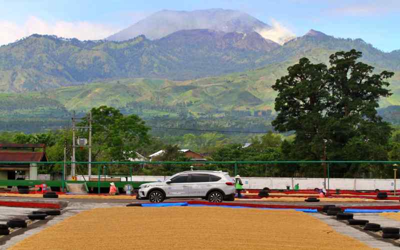  Jelajah Kopi Jatim 2022, Manjakan Mata di Penginapan Kebun Kopi Gunung Ijen